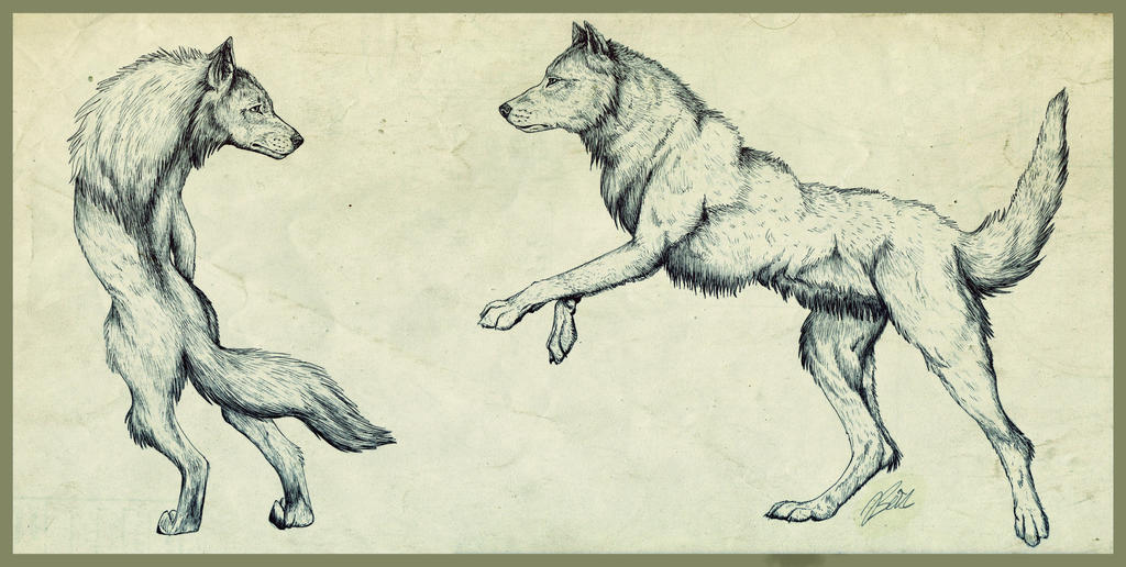 Dance With Wolves by TheJasIllustrator on DeviantArt