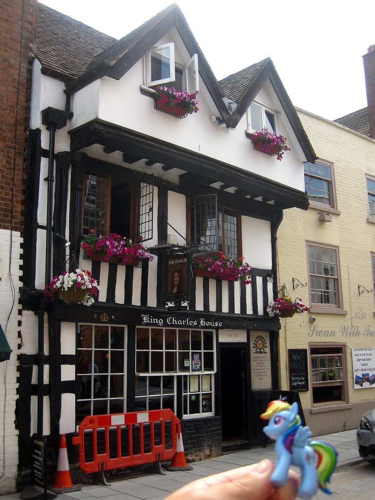 Rainbow Dash at the King Charles House, Worcester