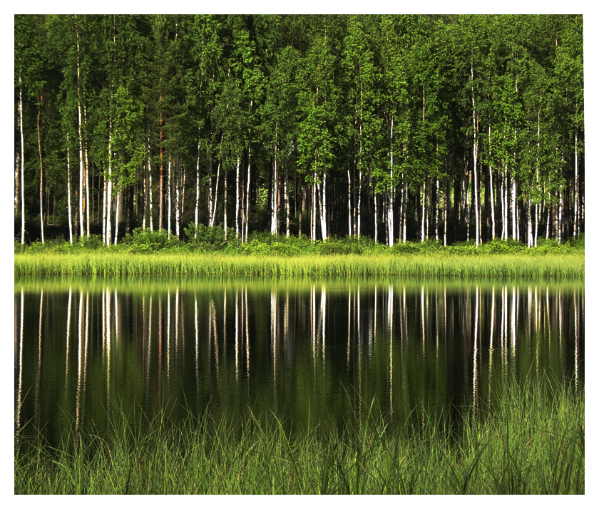 reflection of water