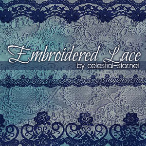 EMBROIDERED LACE