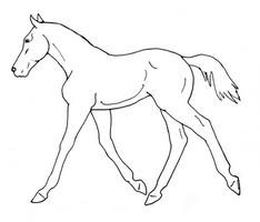 Trotting Foal Line Art