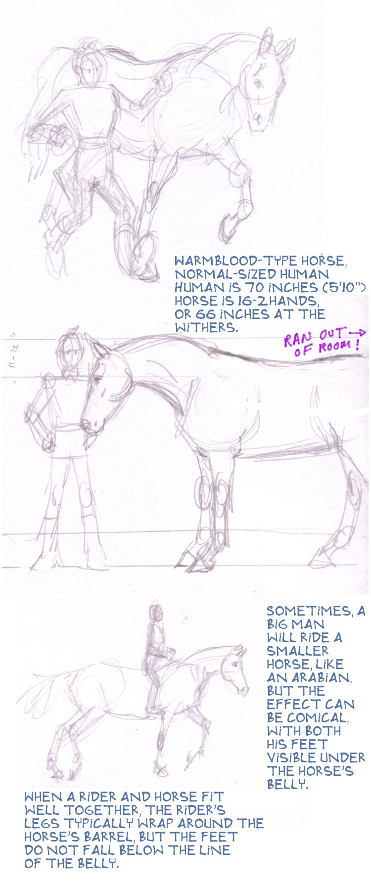 Human-Equine Height Comparison