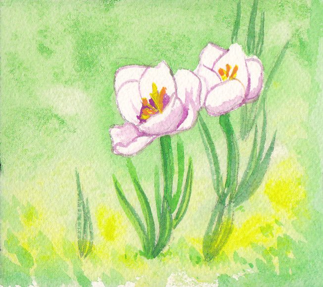 Watercolor - Crocuses