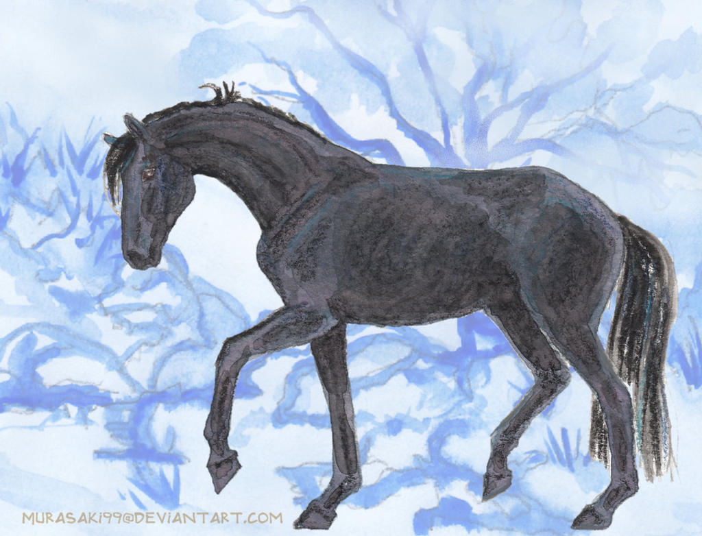 HM Turpin's Black Bess
