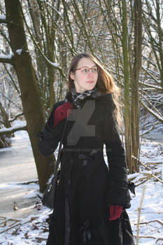 gothic beauty in the snow