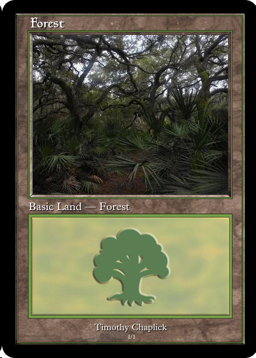 Magic Forest Cumberland Island Photo Card III