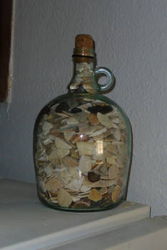 Seashell Filled Wine Jug Bottle II