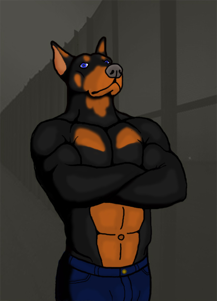 Muscle Doberman