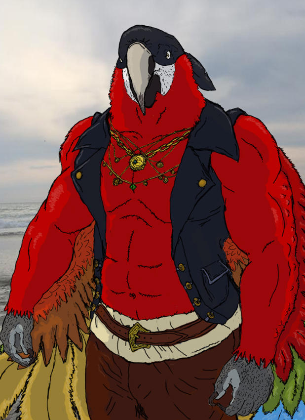 Bodybuilder Parrot Power Pirate, muscle parrot supervillain by animagusurreal on DeviantArt