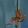Tarzan Bruce v Bruce Rexlan, Dinosaucers animation