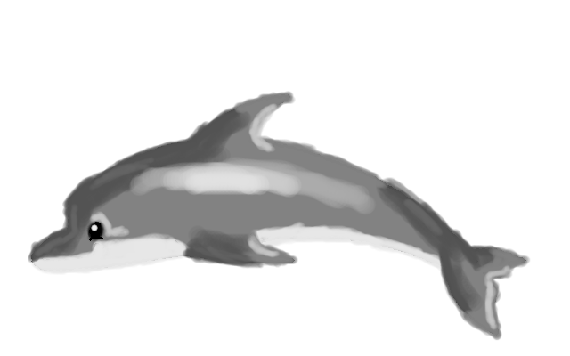 Dolphin :D