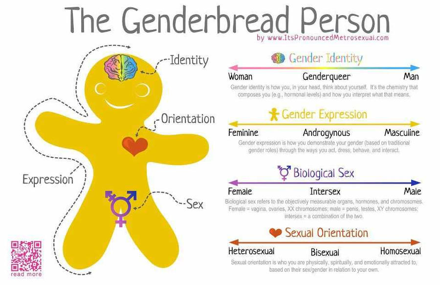 Genderbread Person by MatBroome1996 on DeviantArt