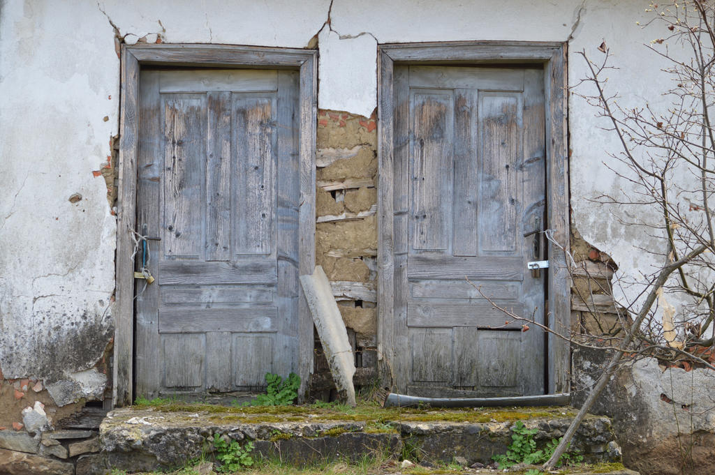 Old Doors by g0mix