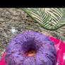 really rough bundt cake i made