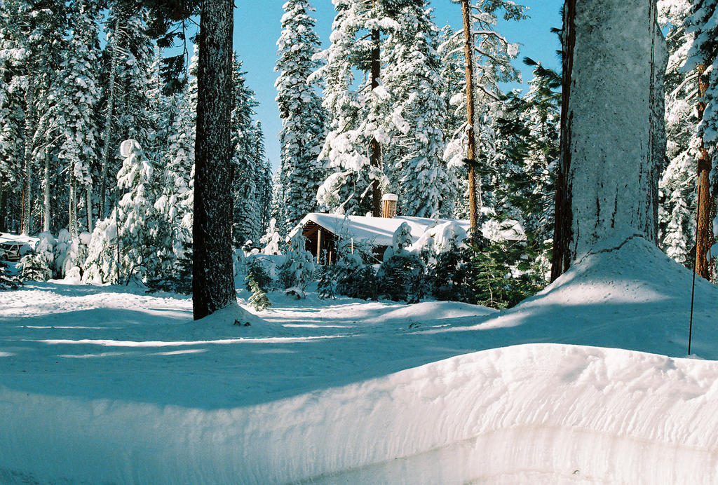 Morgan Summit by evil-elvis on DeviantArt