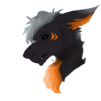 bust of an old sona