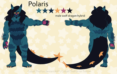 Polaris Debut / Official Ref 2020