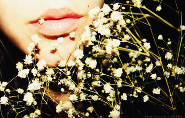 baby's breath.