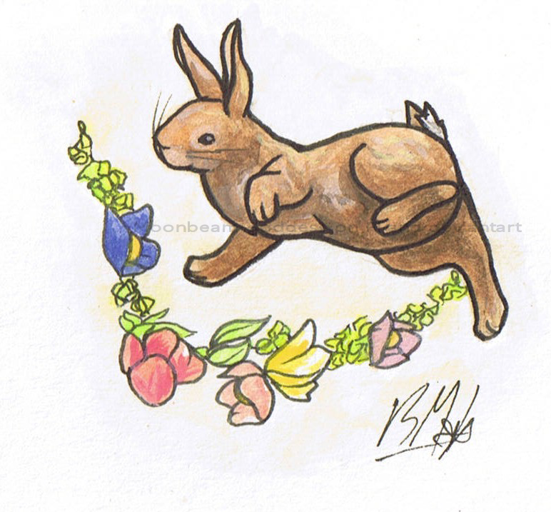 Spring Rabbit