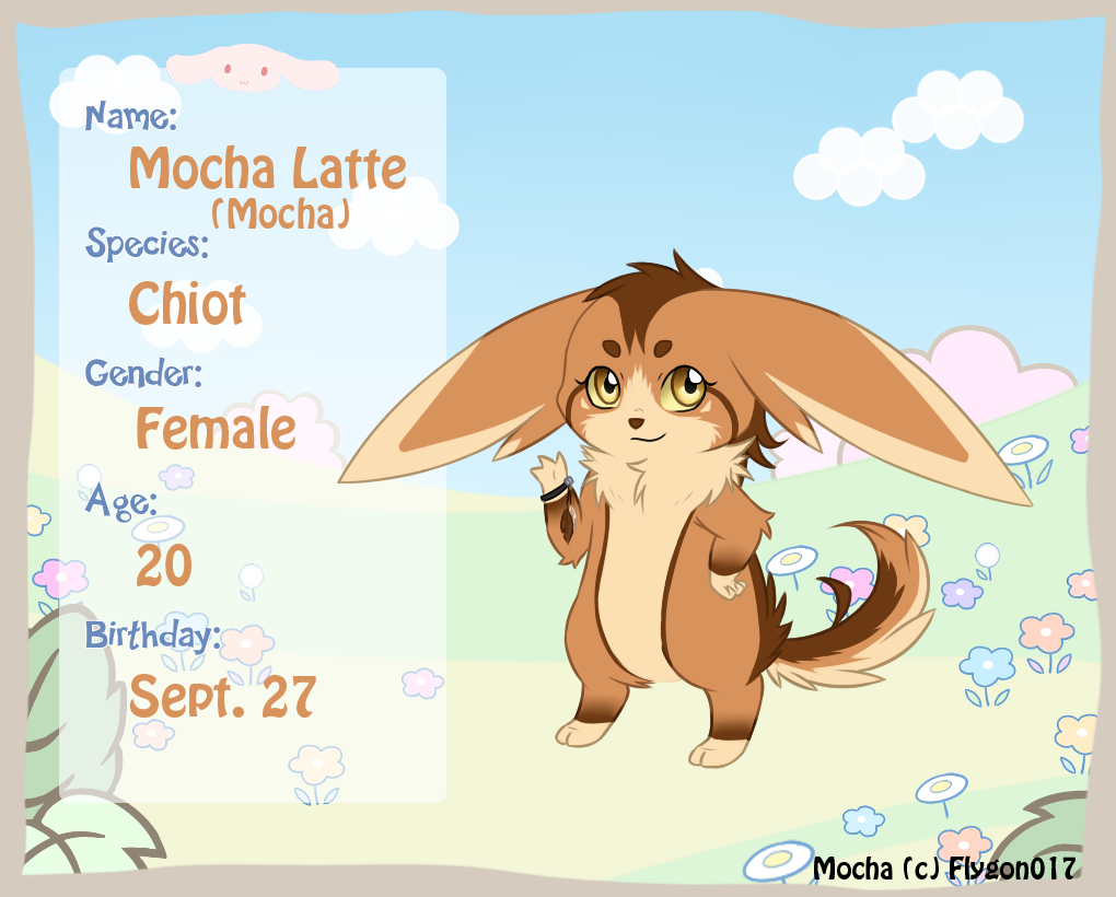 Mocha Latte -Sky Explorers App-