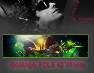 Goblingo FDLS 42 Winner