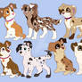 Collie&Dalmatian GRID results