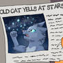 Old cat yells at stars
