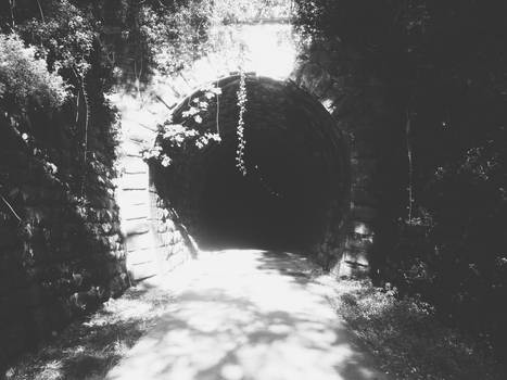 Tunel