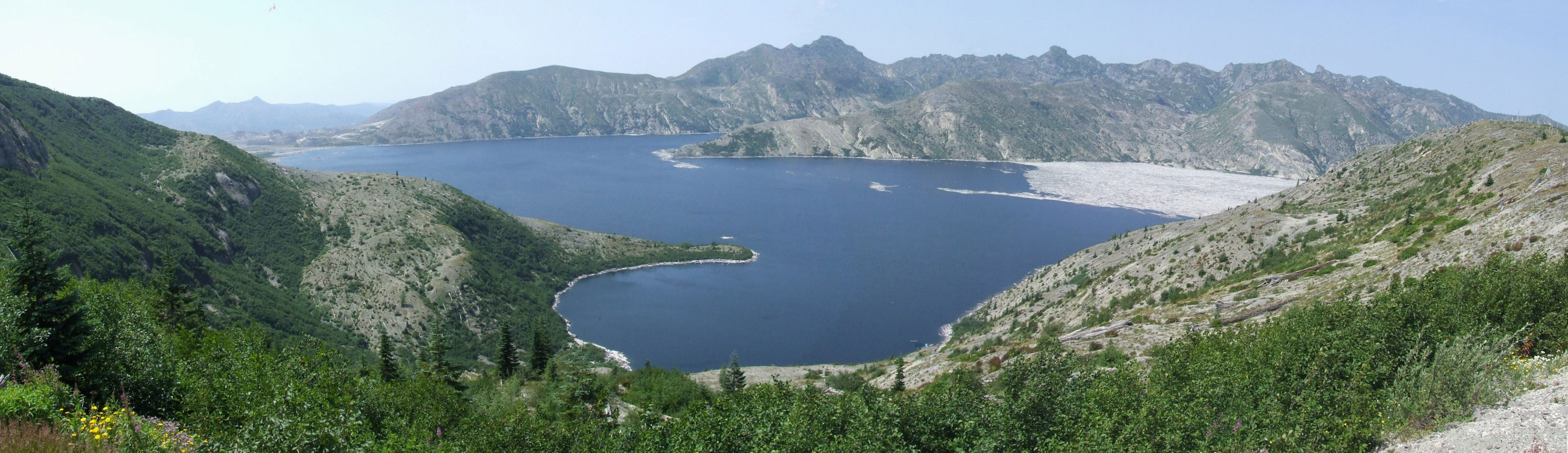 Logs in lake