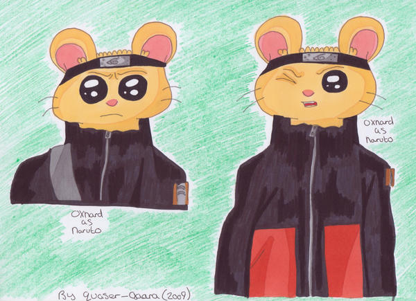Hamster Naruto By Quaser gaara On DeviantArt hamster-naruto-by-quaser-gaara-on-deviantart