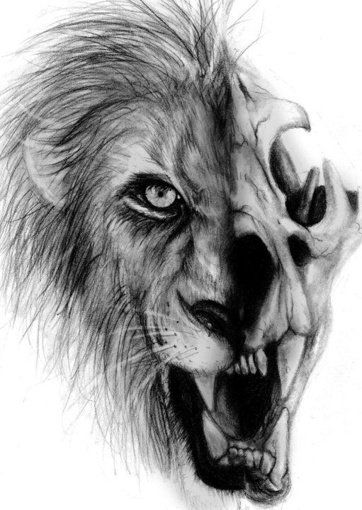 Half Human Half Lion Face Drawing Half Human Half Lion Face Drawing