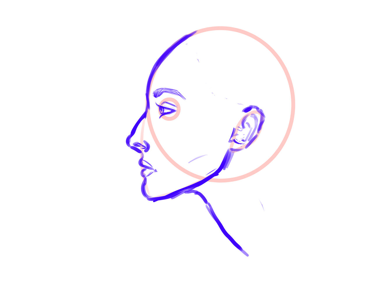 side profile by greylake on DeviantArt