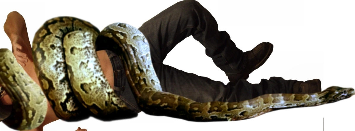 Constriction by RoughPSI on DeviantArt