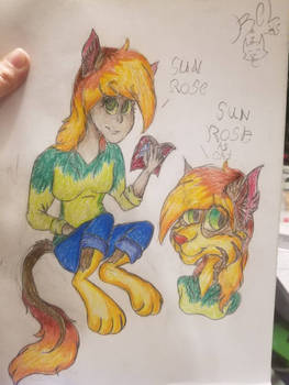Sun rose the fire Tabby
