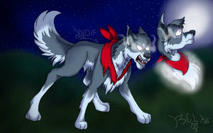 Moon light the Wolf dog