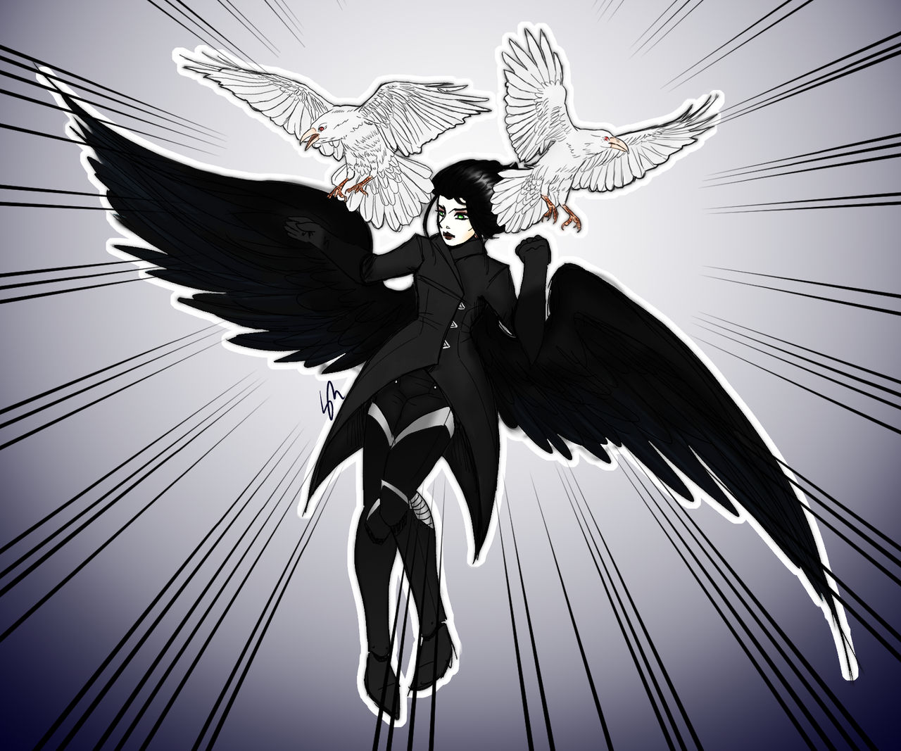 CORVIDAE