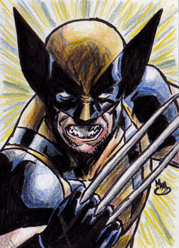 Wolverine (color pencil)