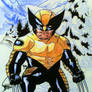 Mini Marvels: Wolverine