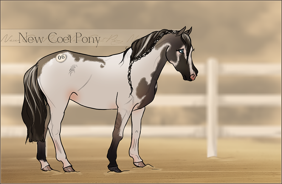 HIP #6 - New Coet Pony Adoptable