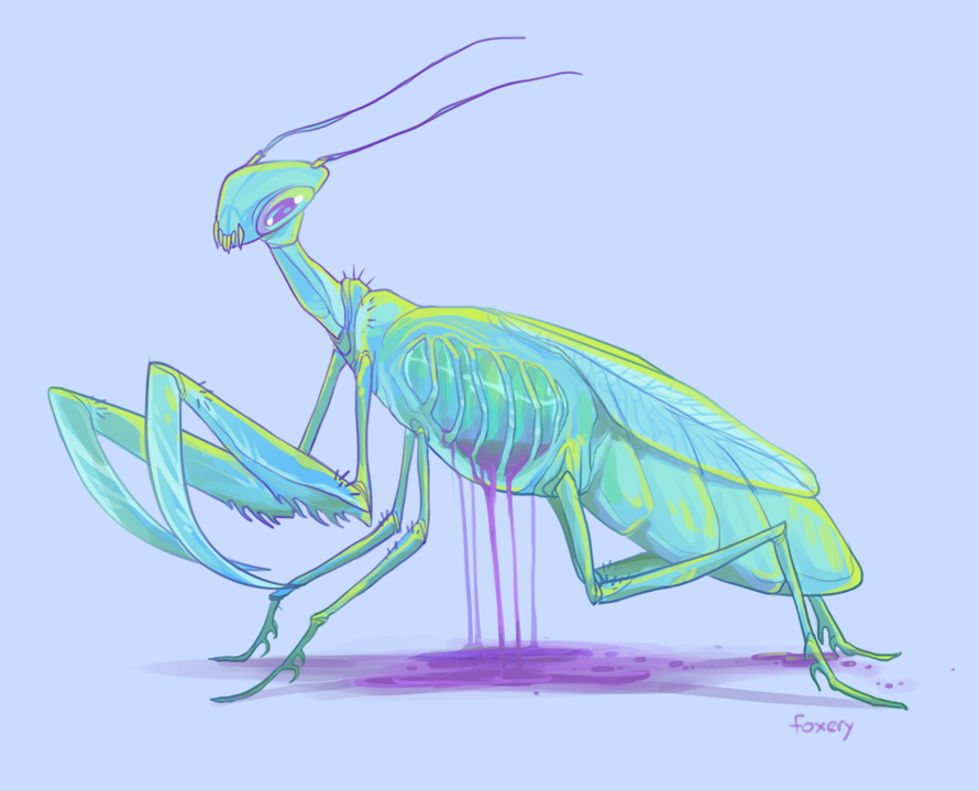 cage mantis