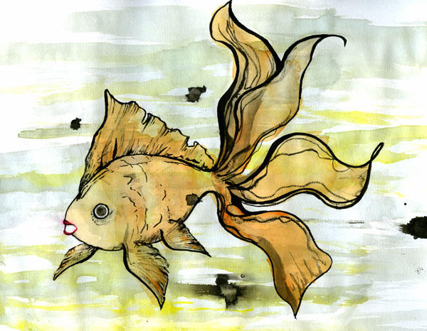 Deviantart 2007 Goldfish goldfish by theitje89 on DeviantArt