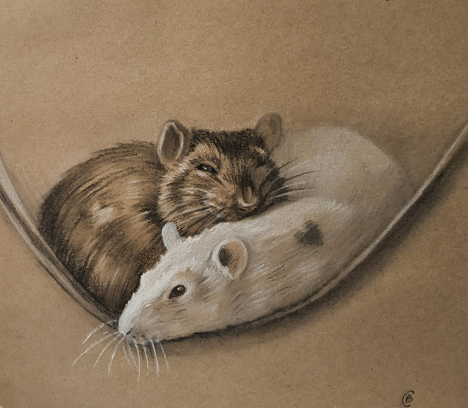 Rat Deviantart Rats by magoniya on DeviantArt