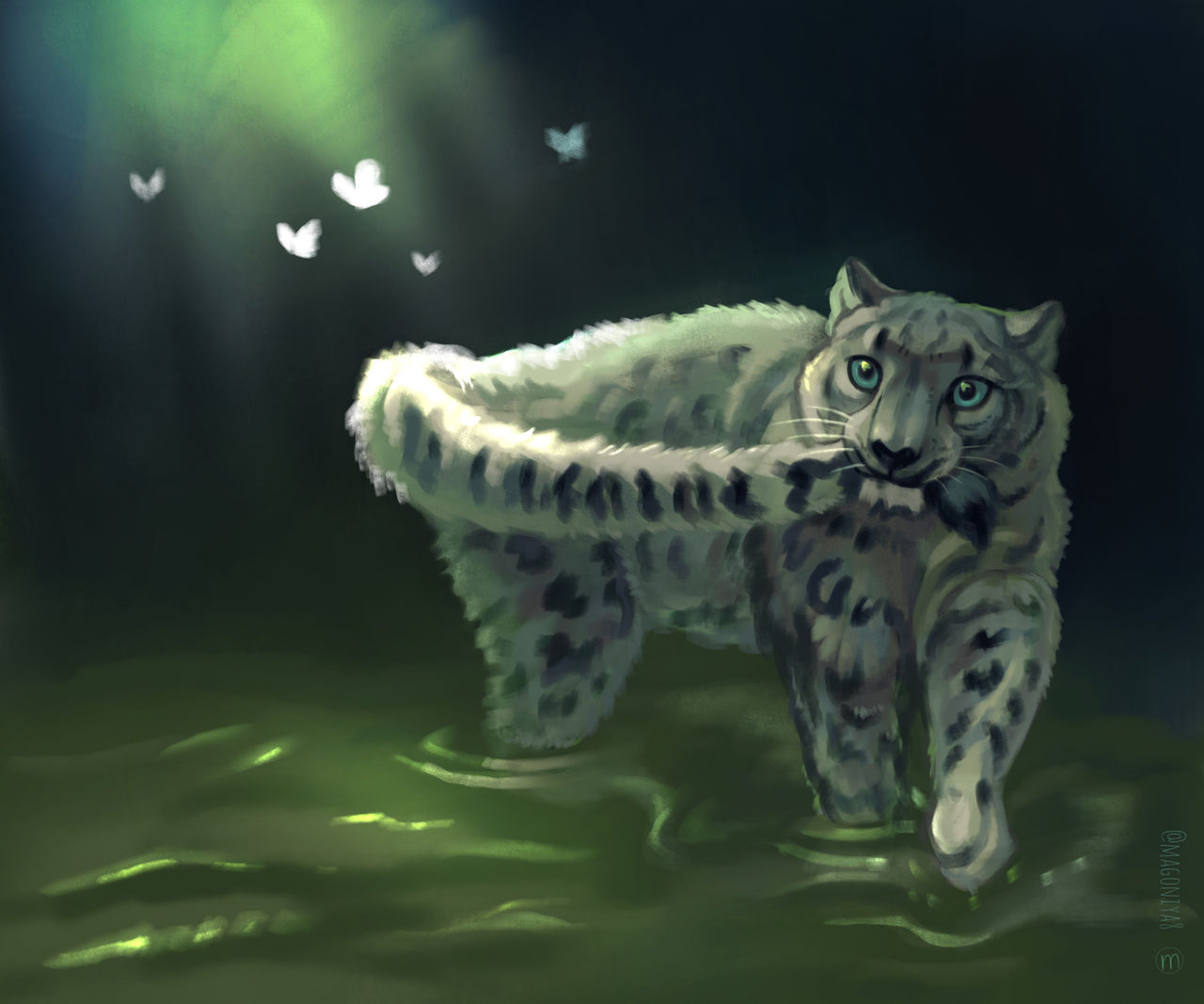 Magic Leperd Snow leopard and magic shine by magoniya on DeviantArt