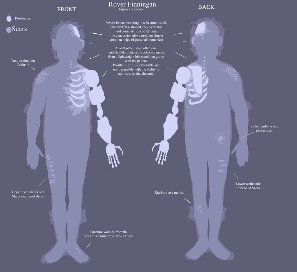 Rover: Scar and Prosthetics Ref by chill13 on DeviantArt