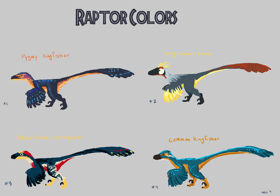 Raptor Colors copy by chill13 on DeviantArt