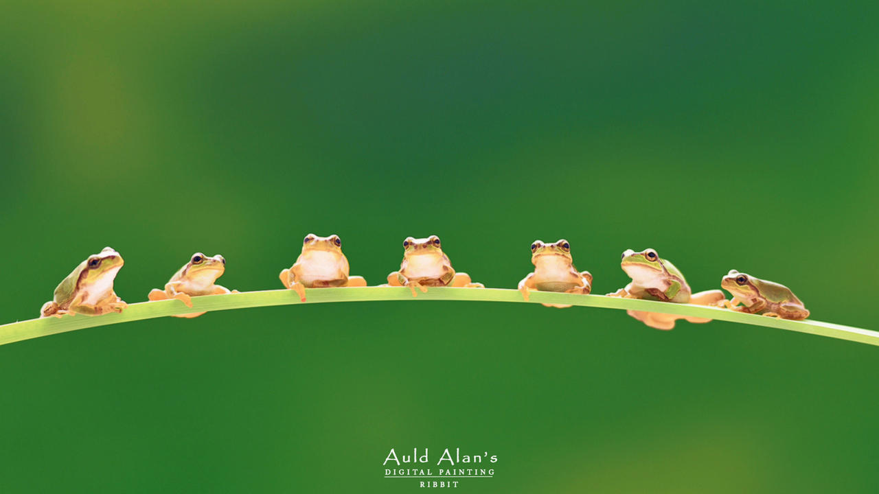 Ribbit by Weeal117 on DeviantArt