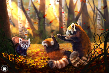 Red Pandas Playing by LikkleLydia