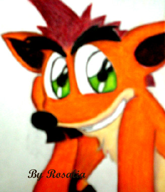 crash bandicoot in laying