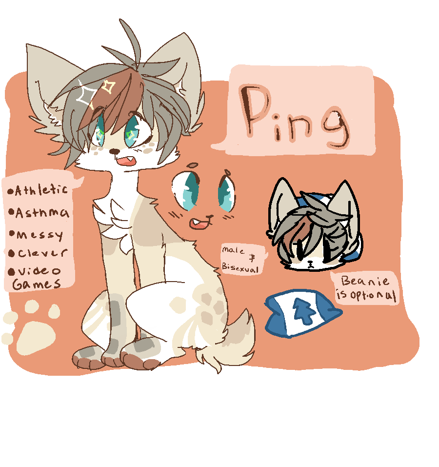 Ping reference sheet