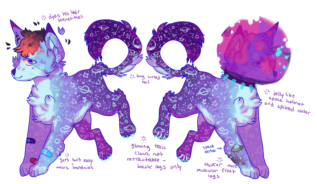 star/space dog AUCTION open